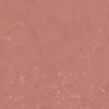 Bare Biscotti Matte Lip Colour Bare Biscotti Matte Lip Colour